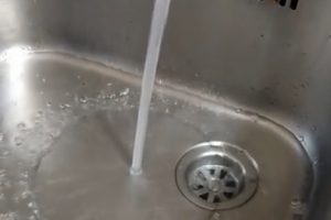 Stasatura Lavandini Stasatura Lavandini